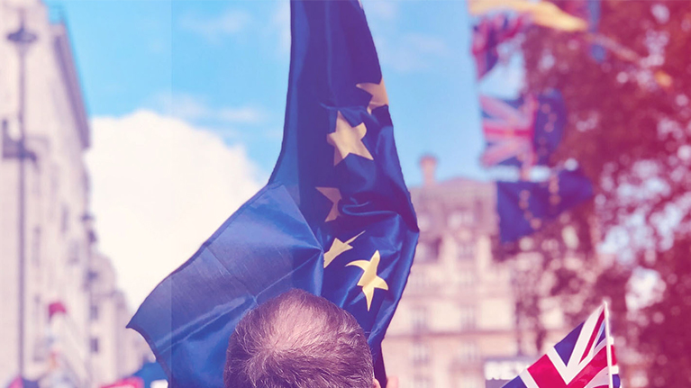 Small banner brexit 2