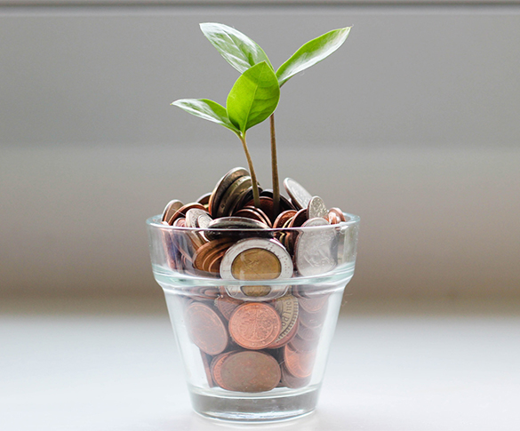 Money tree