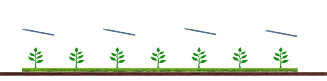Energy Focus Agrivoltaic Plants Guidelines 1