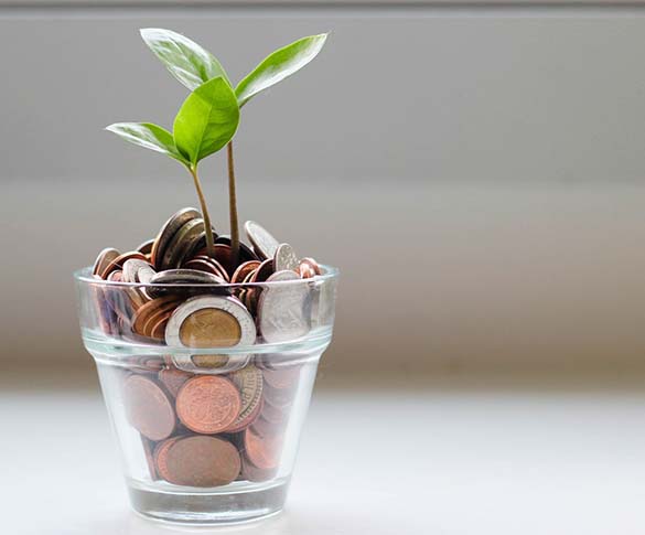 0162 Plants coins 585x485px