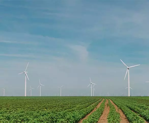 0240 Wind turbine in field 585x485px