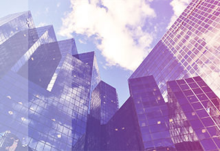 InsureInsight: Insurance Sector Trends 2024