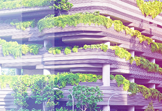 DWF launches its Pathway to Net Zero and the DWF Forest